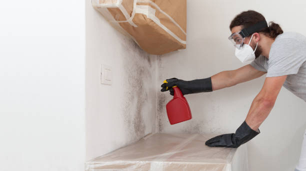 Professional Mold Cleanup technician working in Merchantville, NJ