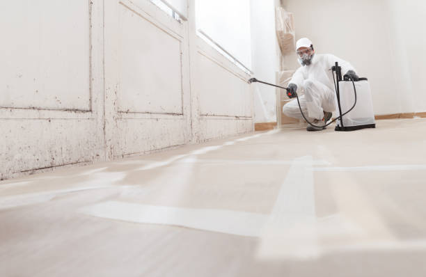 24/7 Emergency Mold Cleanup experts in Merchantville, NJ