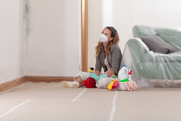 Reliable Mold Cleanup contractor in Merchantville, NJ by WQB Mold Removal